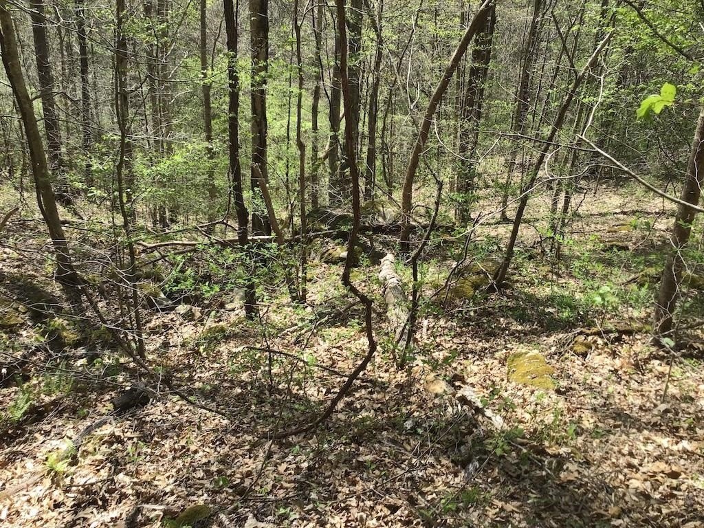 Picture 23