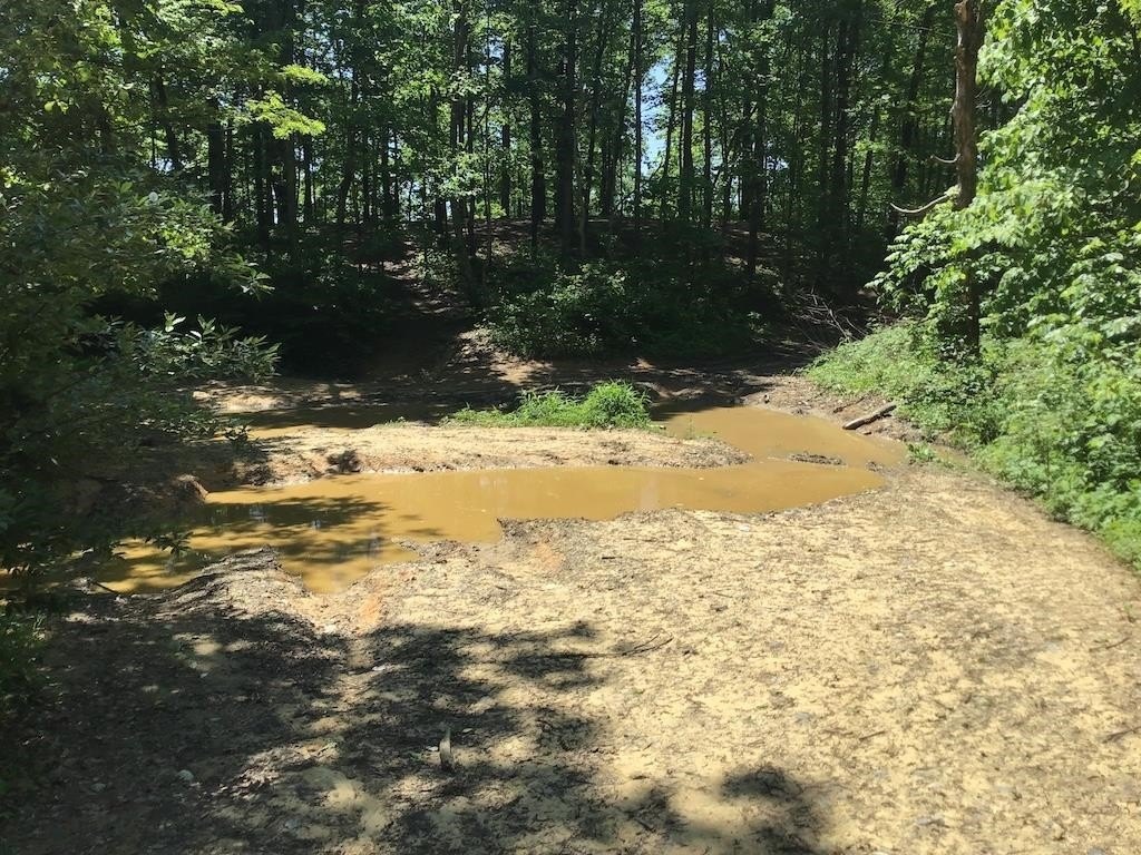 Picture 43