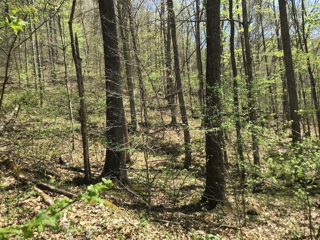 Picture 22