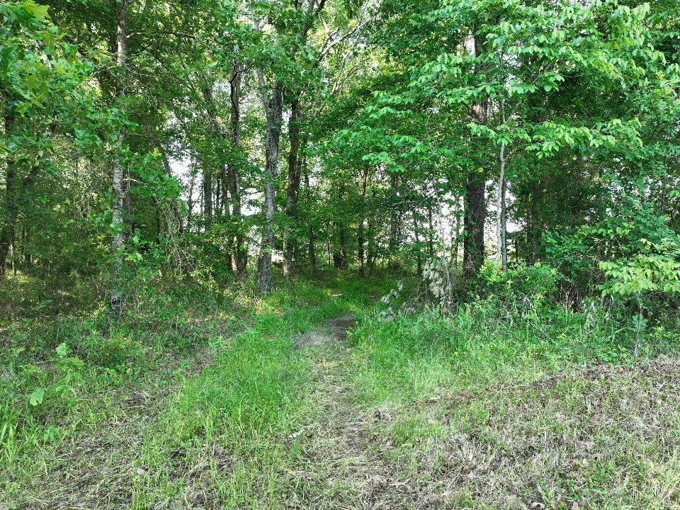Picture 19