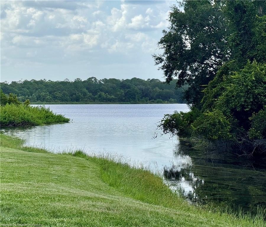 Picture 16