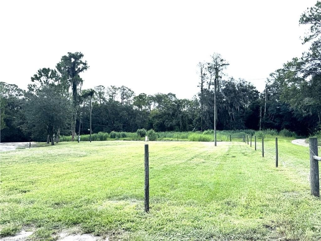 Picture 10