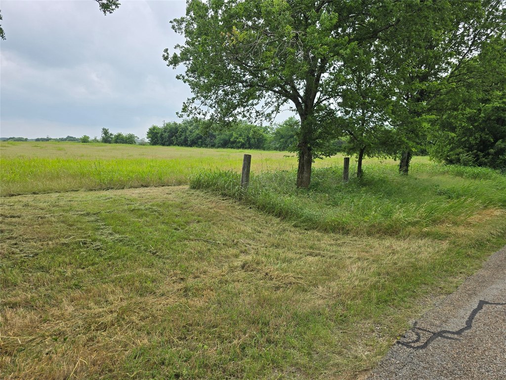Picture 19