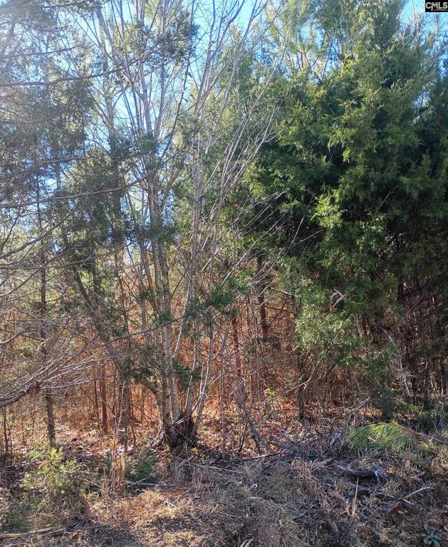Picture 4