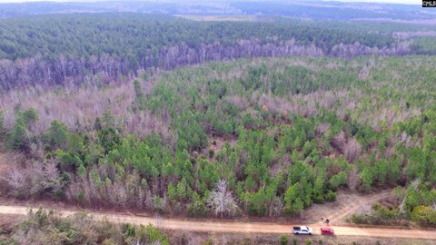 Wooded Timber Tract for Recreation