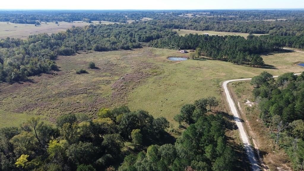 Secluded Acreage in Crockett, Texas