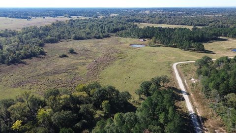 Secluded Acreage in Crockett, Texas