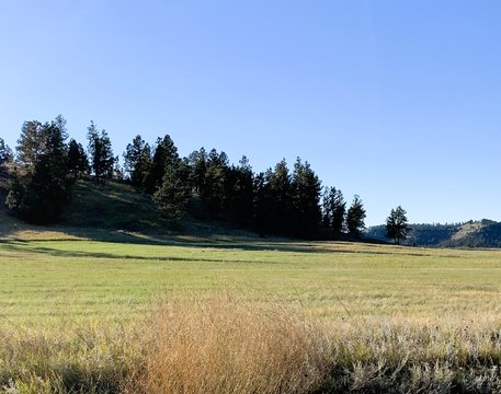 Ranch Land with Sourdough Creek