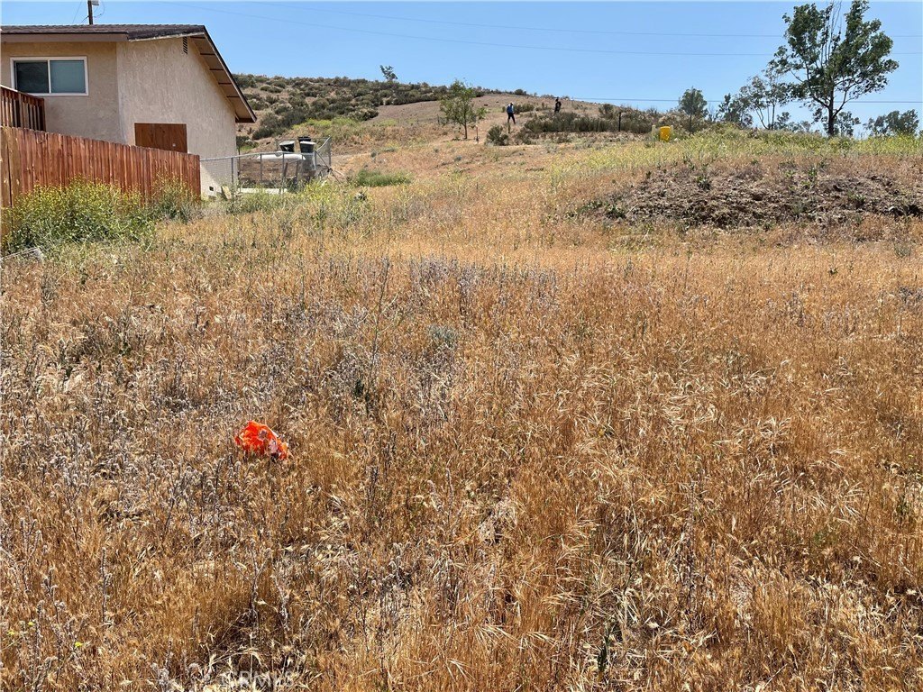 Picture 18