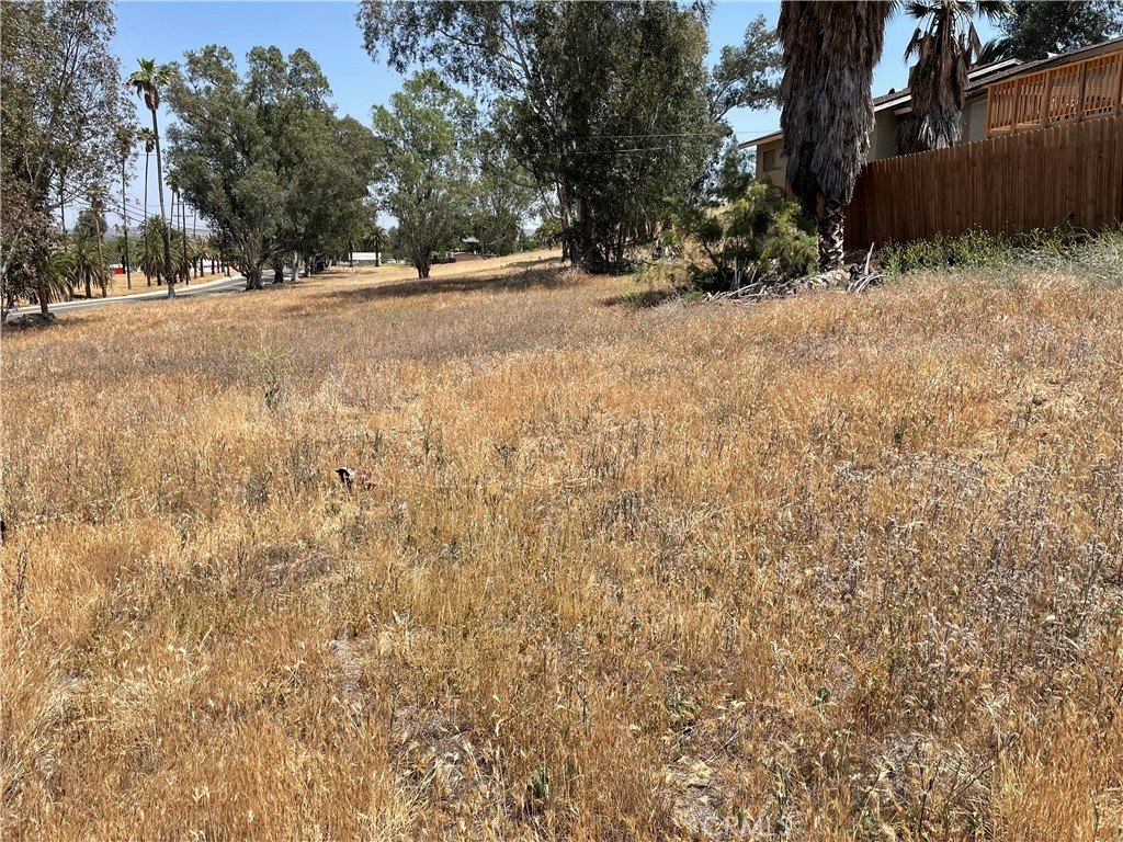 Picture 26