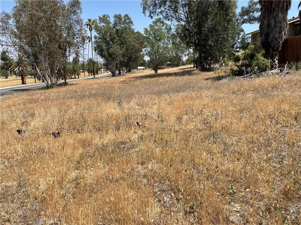Picture 27