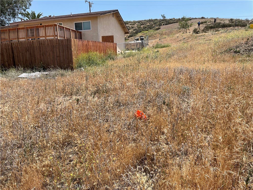 Picture 21