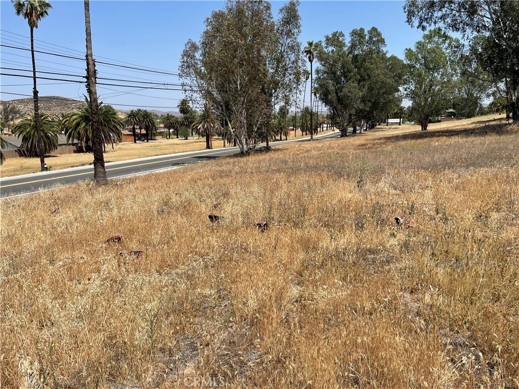 Picture 29