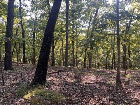 Wooded Land in Gravois Mills