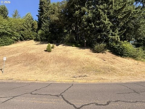 Residential Building Lot in R1