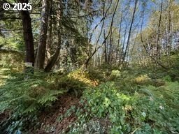 Land For Sale in Tillamook