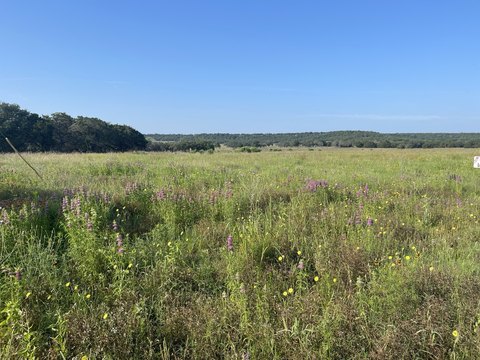 Acreage with Paved Road Access