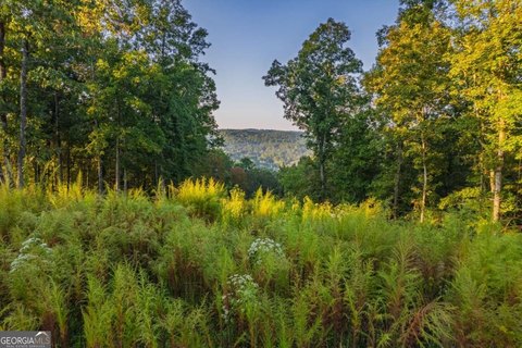 Talking Rock, GA Land