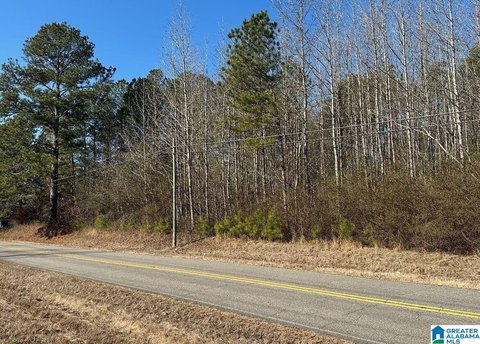 Scenic Acreage Near Noccalula Falls
