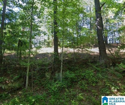 LAND - PINSON, AL
