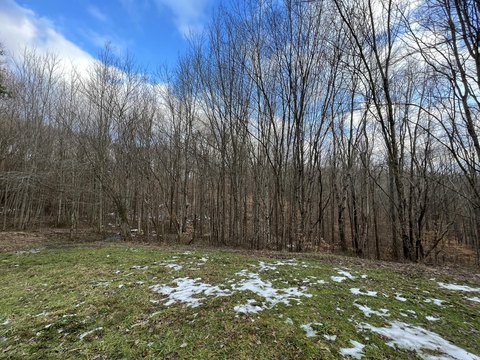 Residential Land in Laurel County