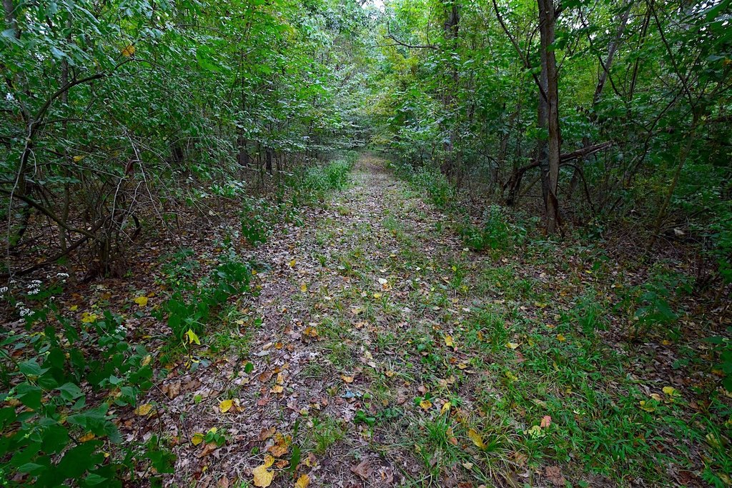 Picture 22