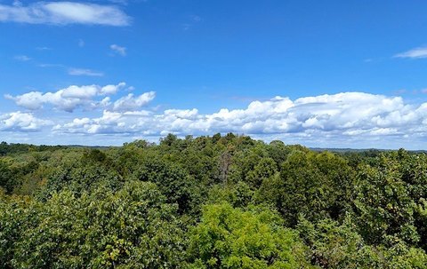 Forest and Hayfield Hunting Land
