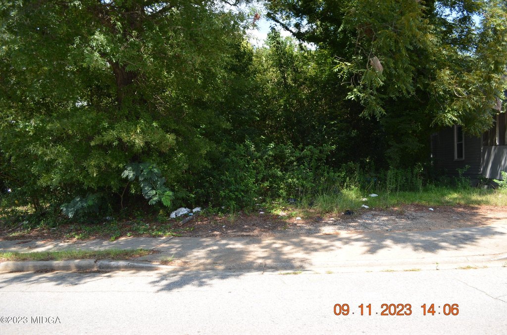 Picture 2