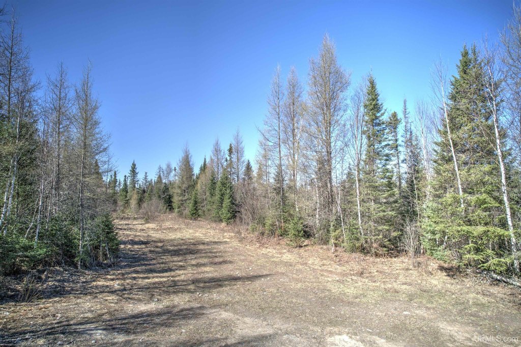 Picture 15
