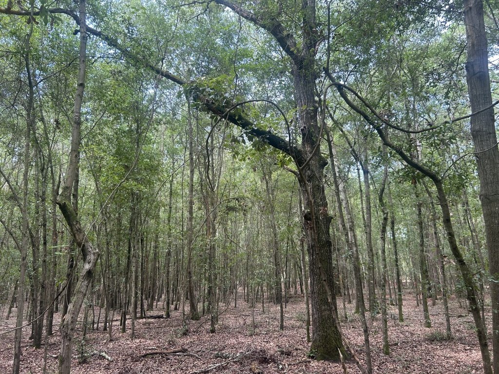 Picture 6