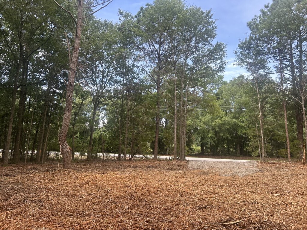 Picture 2
