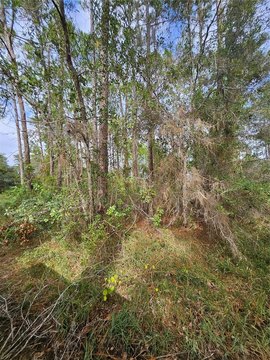 73 Acres of Private Land