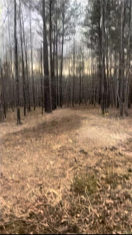 Land in Sparta, Georgia