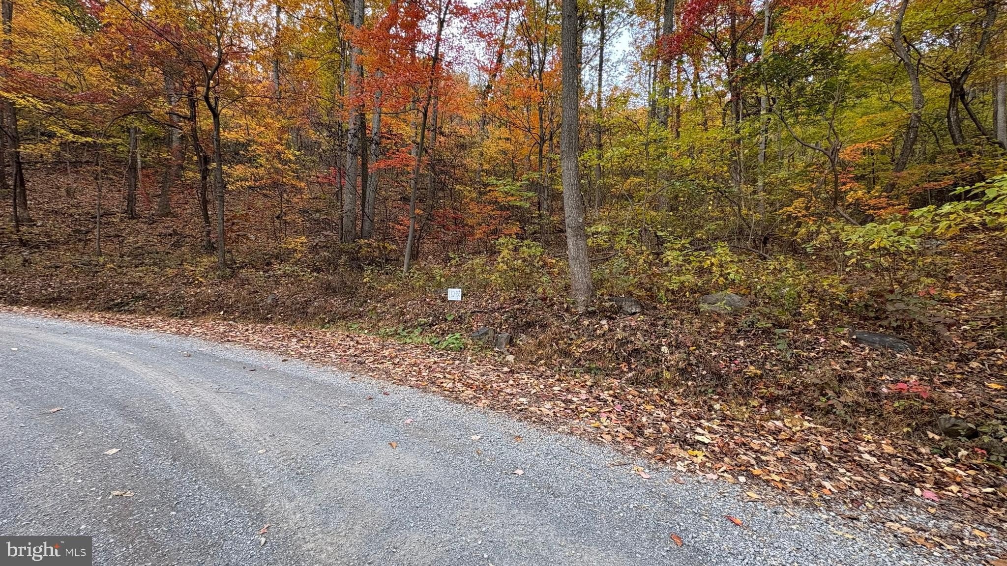 Land in Shawneeland, Winchester, VA