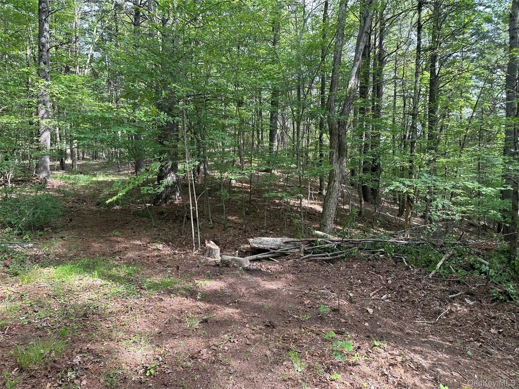 Picture 16
