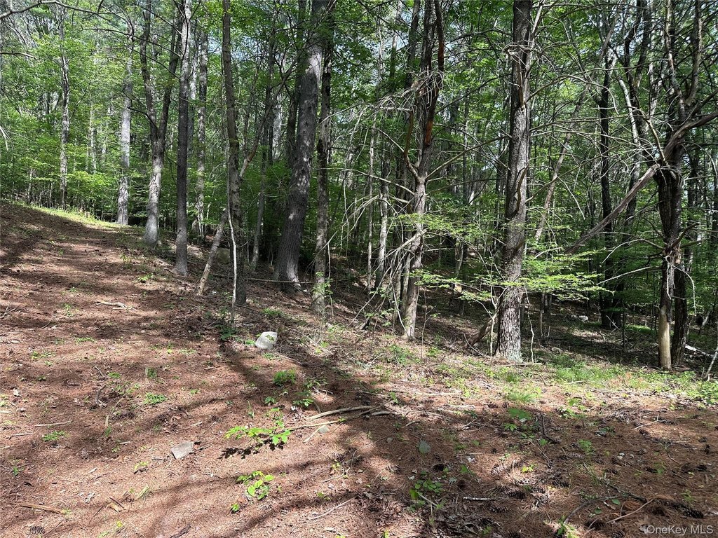 Picture 18