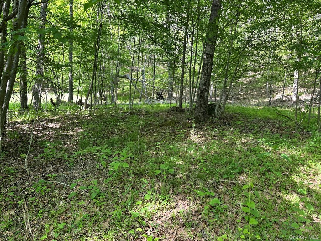 Picture 31