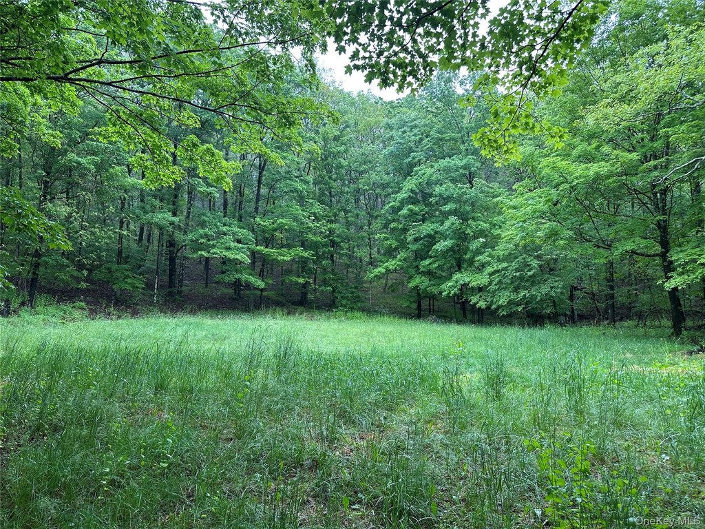 Picture 6