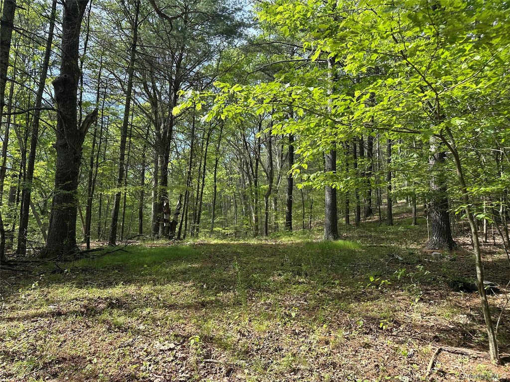 Picture 17