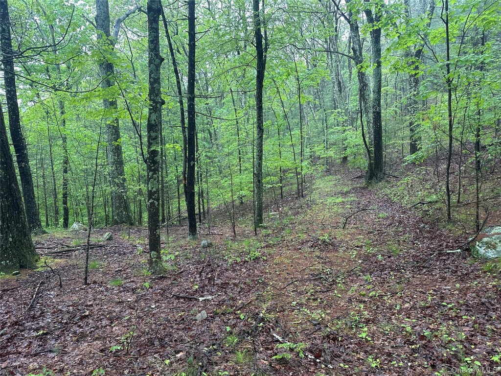 Picture 13