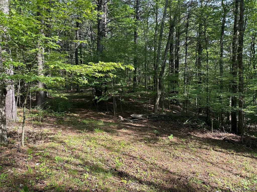 Picture 23