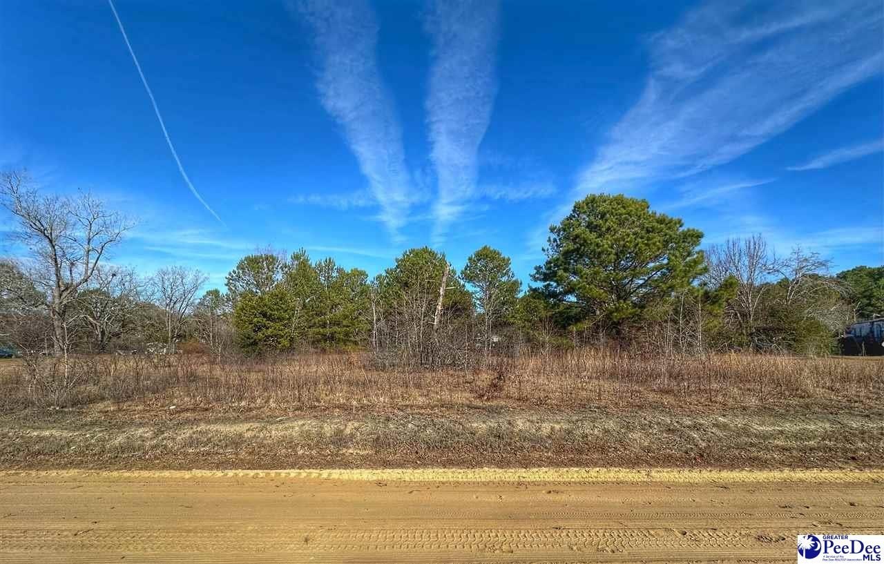 Cleared Lot in Latta, SC