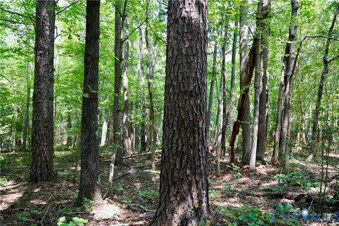 Land, Halifax, VA