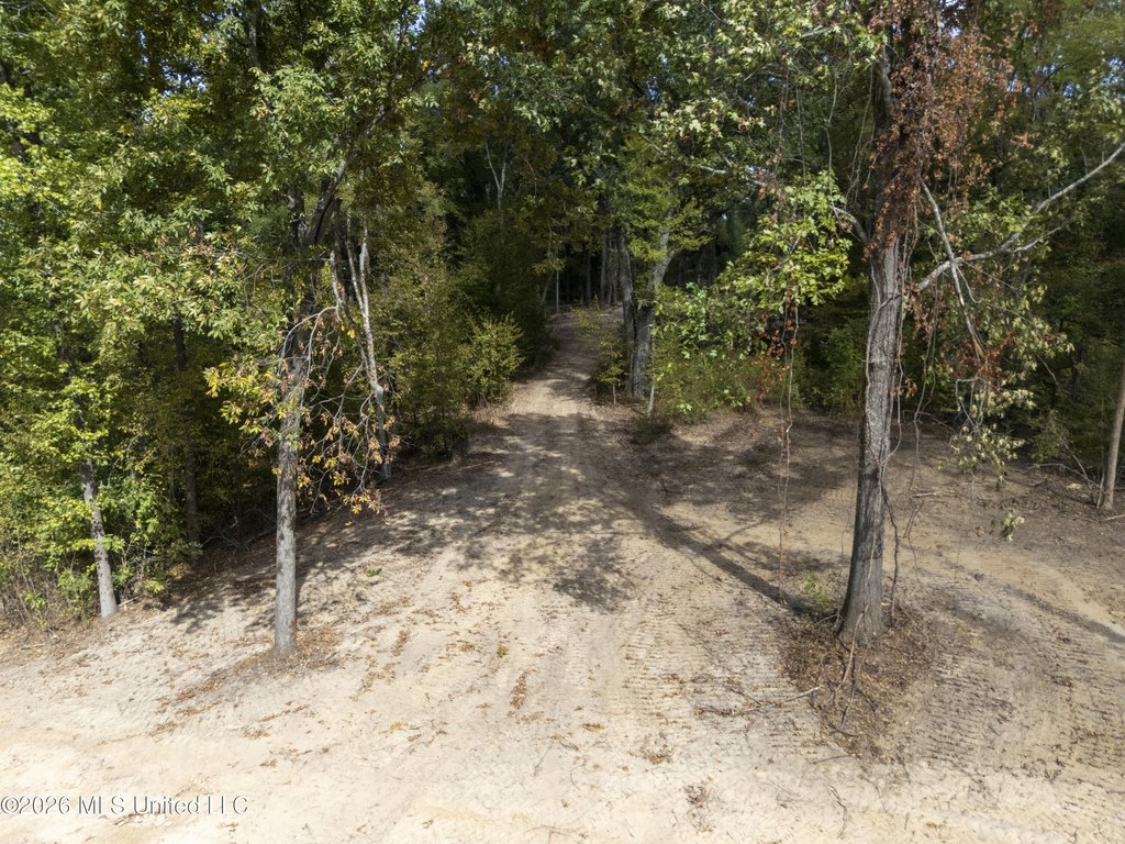 Picture 26