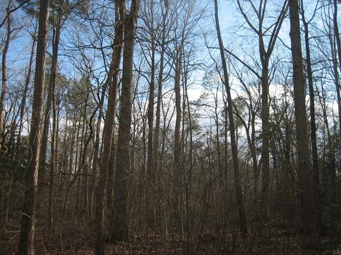 Residential Lot in Waterfront Community