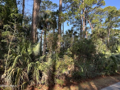 Ocean Marsh Ready-to-Build Lot