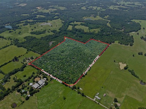 Wooded Recreational Land Tract