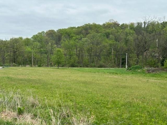 Picture 13