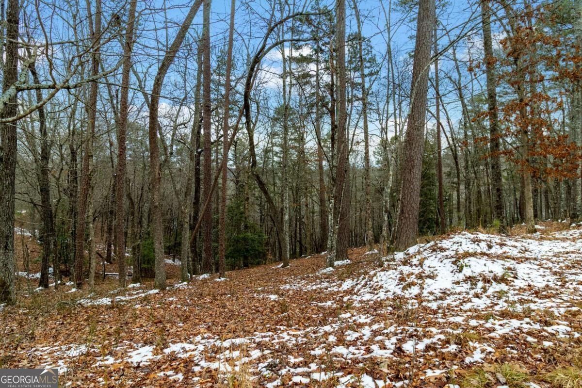 Blue Ridge Buildable Acreage