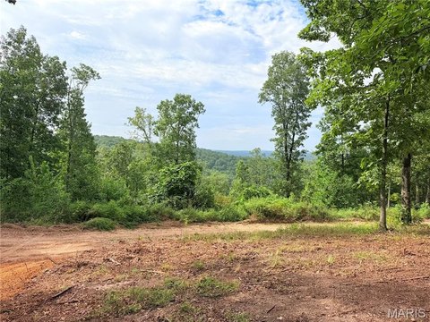 Land, Piedmont, MO